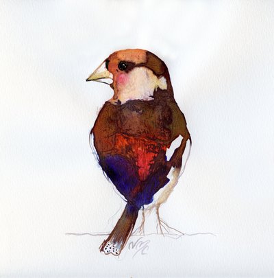 Blushing Hawfinch by Nancy Moniz Charalambous
