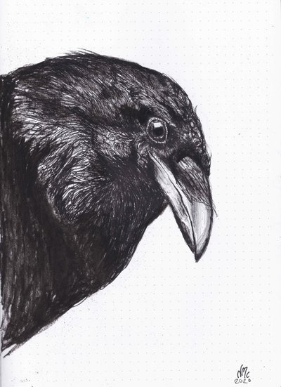Crow or Raven, 2020 by Nancy Moniz Charalambous