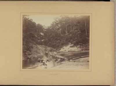 Upper Nepean by New South Wales Government Printing Office