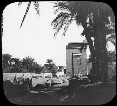 Avenue of Sphinxes, Karnak, Egypt, c. 1890 by Newton and Co