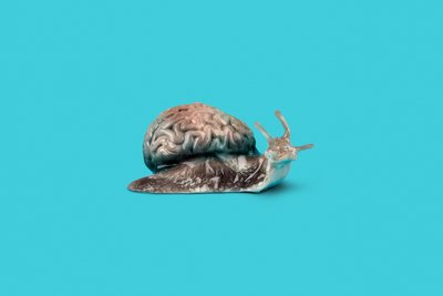 Slowly by Niccolò Fioriti