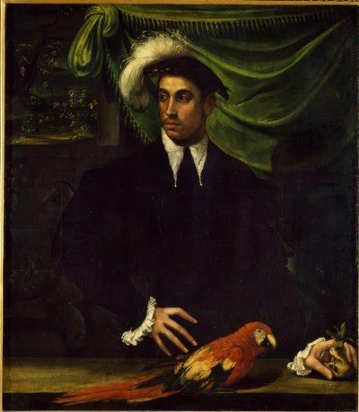 Portrait of a Young Man with Parrot by Niccolò dell Abbate