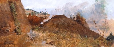 Charcoal pit in the landscape by Niccolo Cannicci