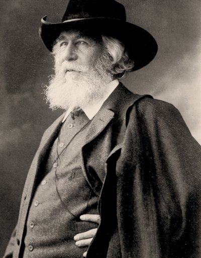 Portrait of Ernst Haeckel, c.1910 by Nicola Perscheid