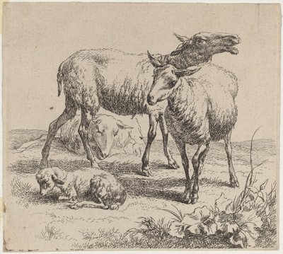 Three Sheep and a Lamb by Nicolaes Berchem