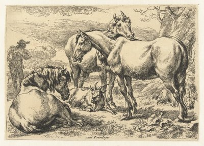 Three Horses (Animals series) by Nicolaes Pietersz Berchem