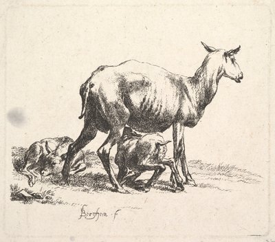 Sheep with Lamb Nursing by Nicolaes Pietersz. Berchem