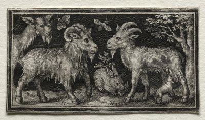 Goats and Hare by Nicolaes de Bruyn