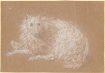 A lying long-haired dog by Nicolai Abildgaard