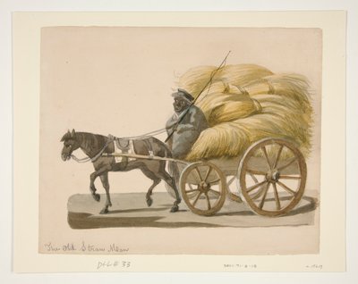 The Old Straw Man by Nicolino Calyo