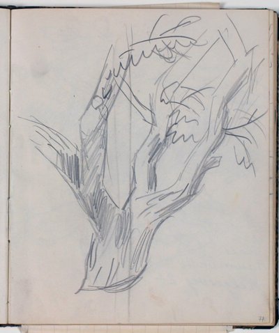 Study of Tree Crown by Niels Larsen Stevns