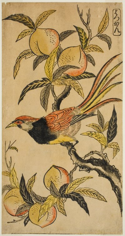 Silver Pheasant by Nishimura Shigenaga