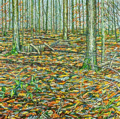 Orches Groundscape by Noel Paine