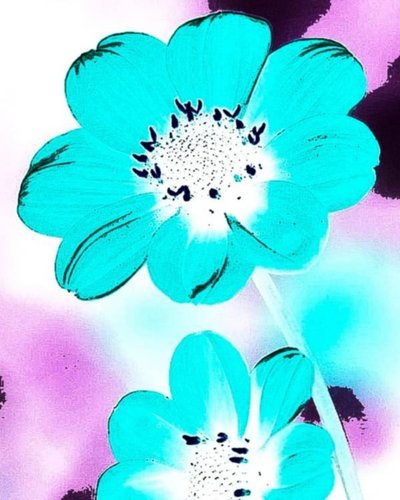 Blue Flower by Nomi Morina
