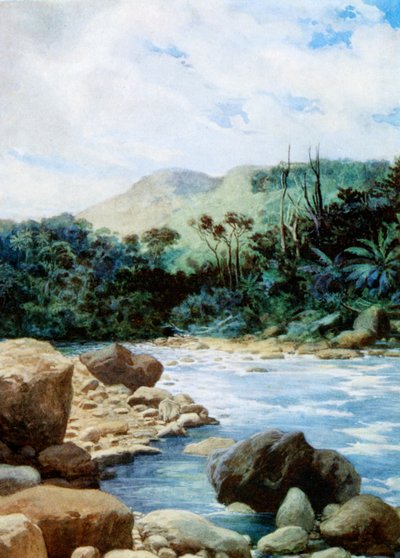 Scenery in Eromanga, New Hebrides by Norman Hardy