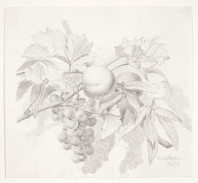 Grapes and Peaches by O.D. Ottesen