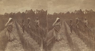 Hoeing Rice by O. Pierre Havens
