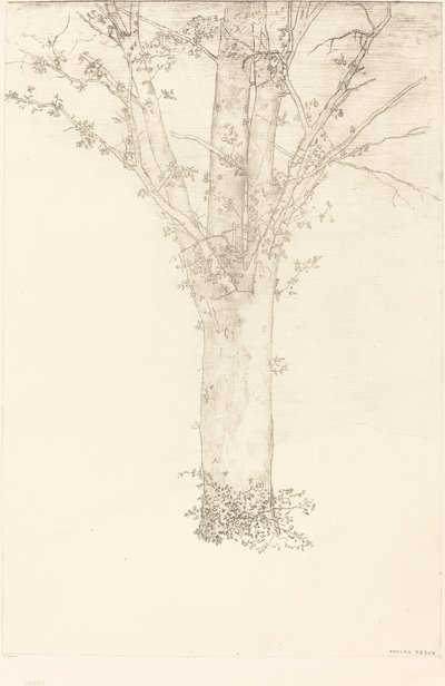 Tree by Odilon Redon