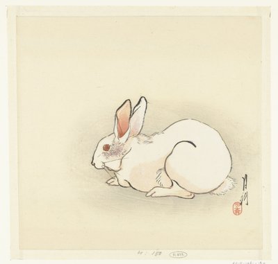 White Rabbit by Ogata Gekko