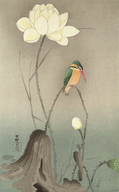 A Kingfisher and a lotus by Ohara Koson