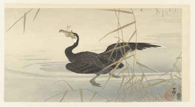 Cormorant with Fish by Ohara Koson