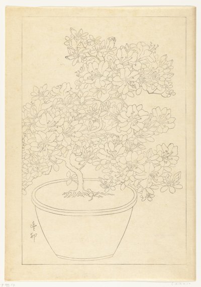 Blooming Azalea in Pot by Ohara Koson