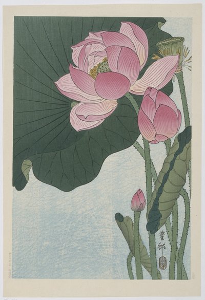 Blooming Lotus Flowers by Ohara Koson