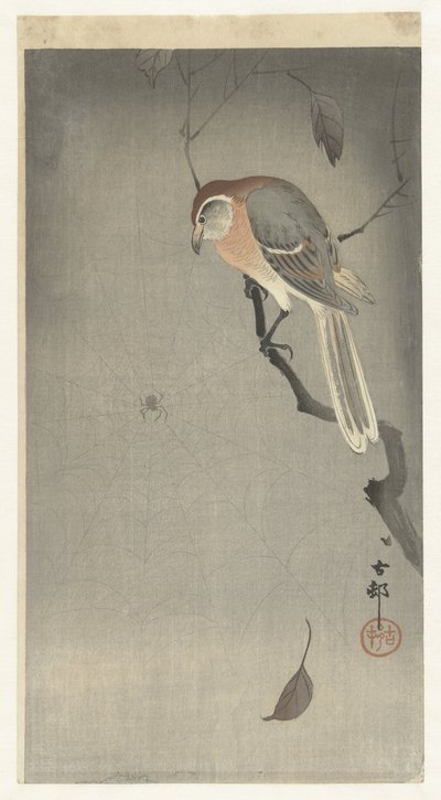 Buffalo-Headed Shrike and Spider by Ohara Koson