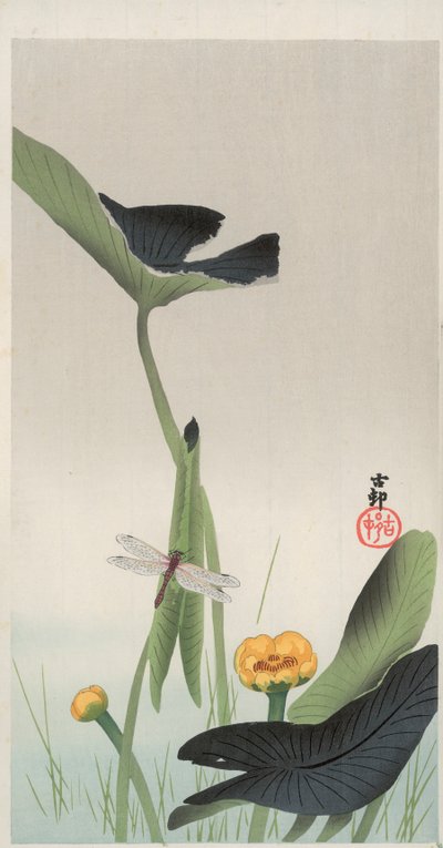 Dragonfly and Lotus by Ohara Koson