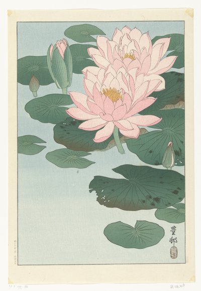 Flowering Water Lily by Ohara Koson