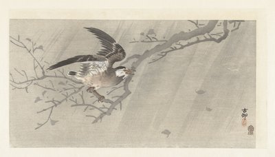 Gray Starling in Storm by Ohara Koson