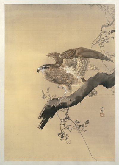 Hawk by Ohara Koson