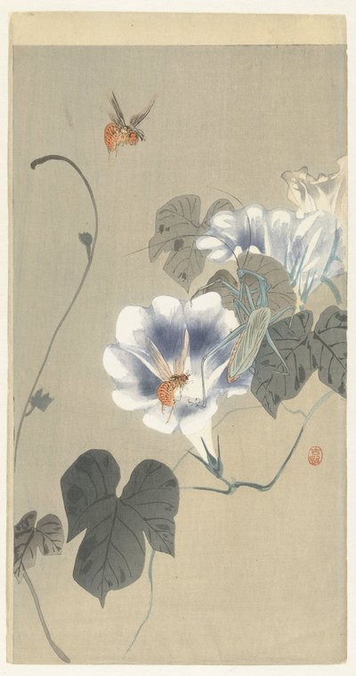 Insects near Bindweed by Ohara Koson