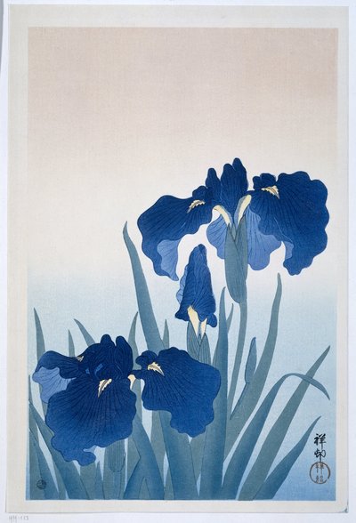 Irises by Ohara Koson