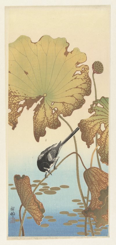 Japanese Wagtail on Lotus Plant by Ohara Koson