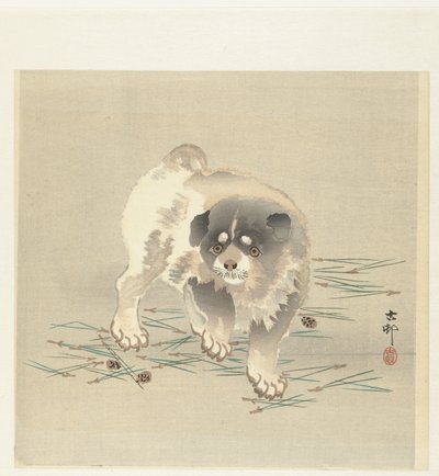 Young Dog by Ohara Koson
