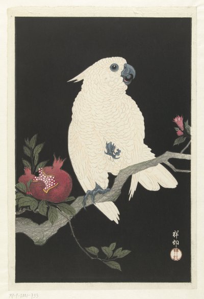 Cockatoo and Pomegranate by Ohara Koson