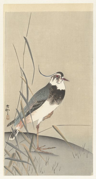 Lapwing and Reed by Ohara Koson