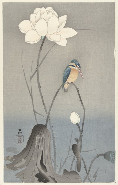Kingfisher with Lotus Flower by Ohara Koson