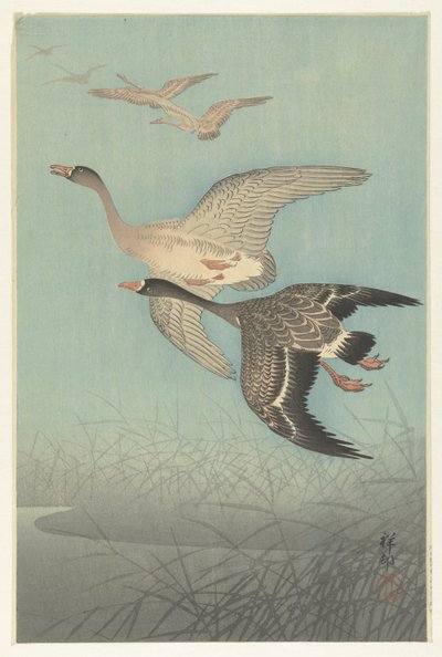 Barnacle Geese in Flight by Ohara Koson