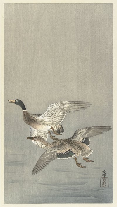 Pair of Ducks by Ohara Koson