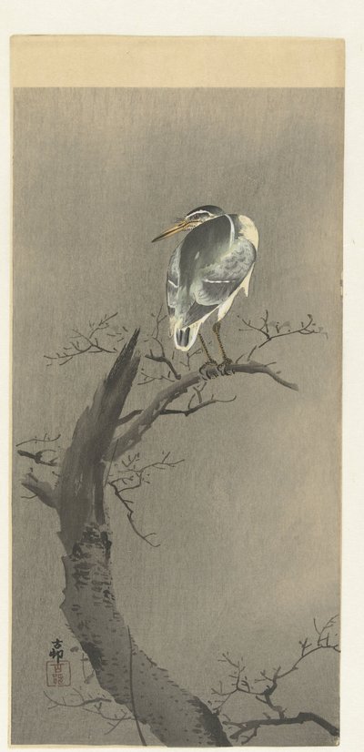 Night Heron on Branch by Ohara Koson