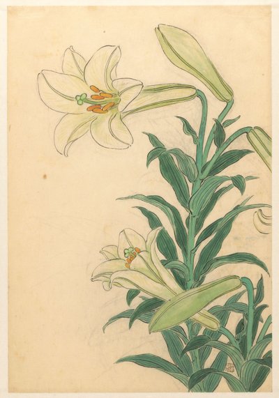 Lilies (Teppoyuri) by Ohara Koson