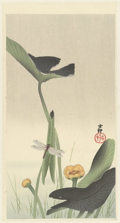 Dragonfly and Lotus by Ohara Koson