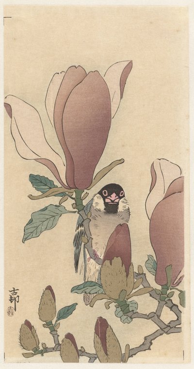 Sparrow on Blooming Magnolia Branch by Ohara Koson
