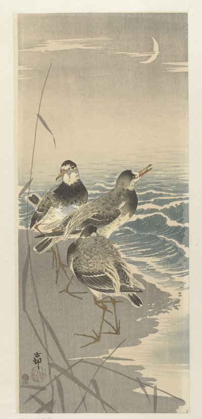 Sandpipers by Crescent Moon by Ohara Koson