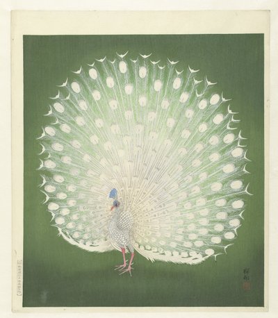Peacock by Ohara Koson