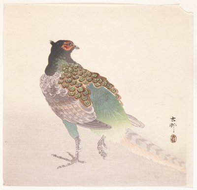 Pheasant by Ohara Koson