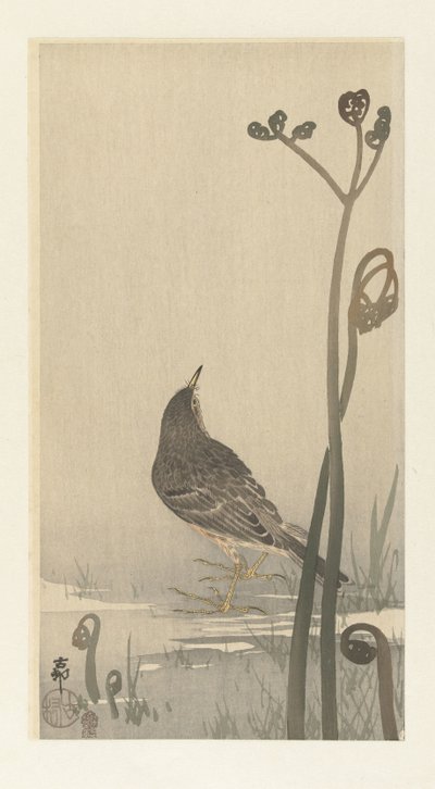 Piper at the Waterside by Ohara Koson