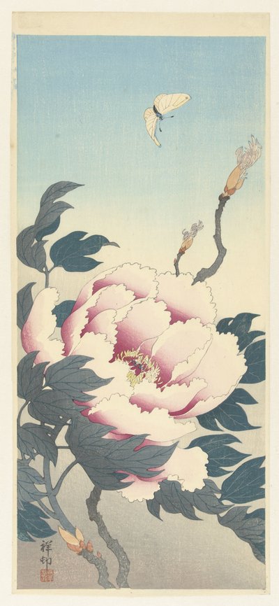 Peony with Butterfly by Ohara Koson